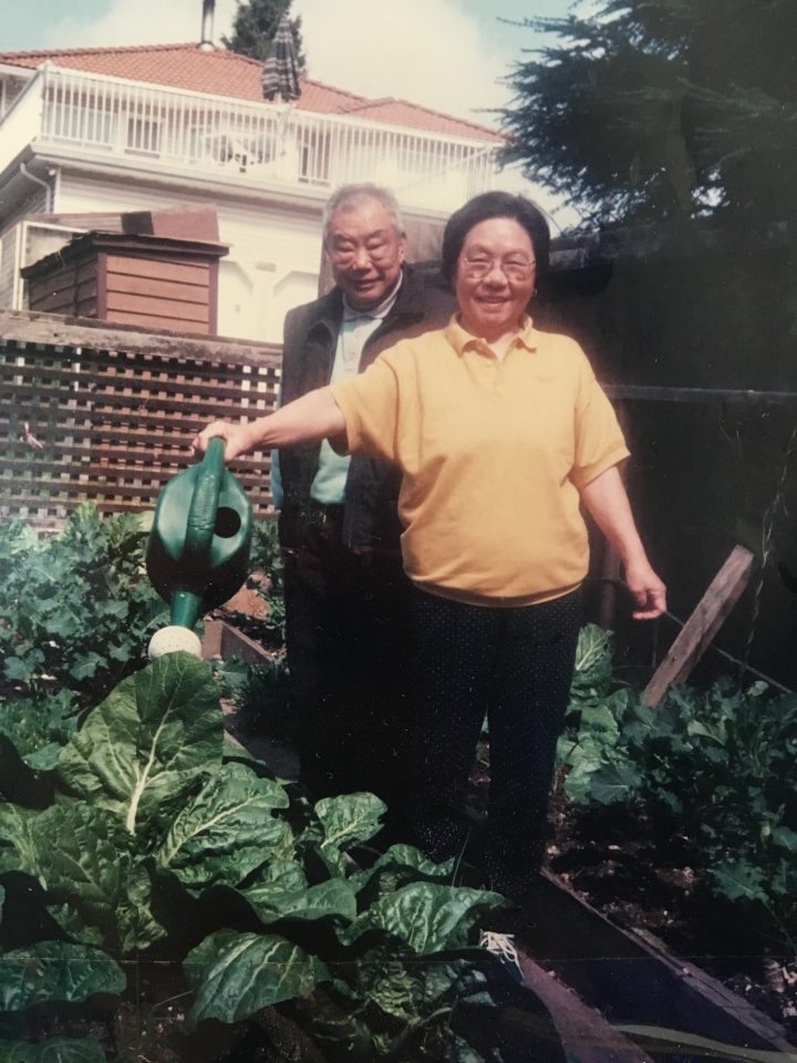 An elder couple are gardening in their backyard. 